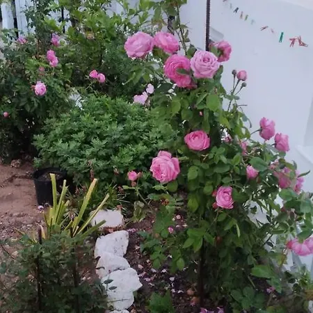 Ornella's & Laura's Secret Place דירה