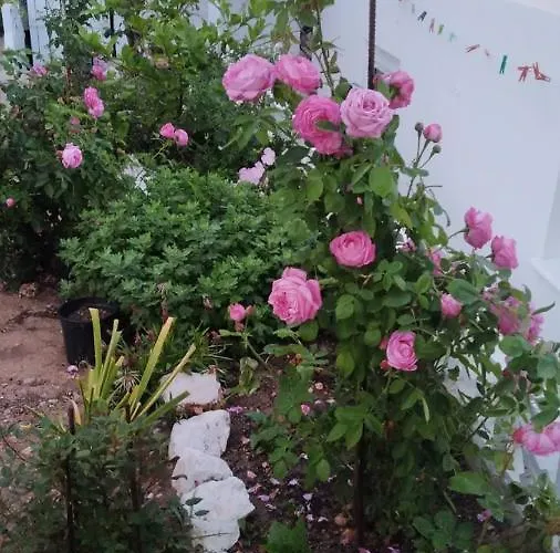 Ornella's & Laura's Secret Place Daire